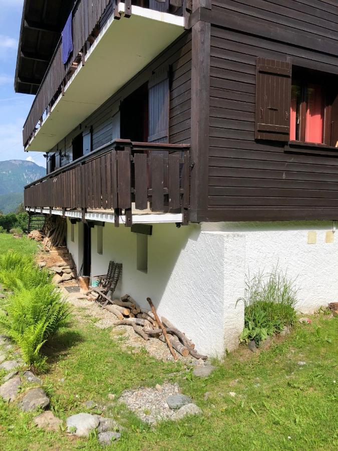 Appartement Cosy Au Pied Du Mtblanc Chamonix Mont Blanc Exterior foto